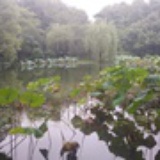 江南