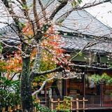 糍饭糕店张曼玉