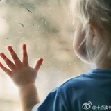 璞归真