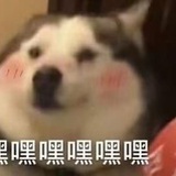 奔三路上的zlt