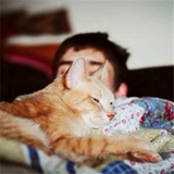 Aboo