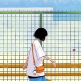 媛