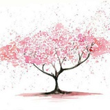 lidannafree