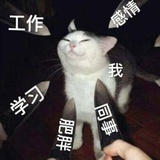 乖，摸摸头~