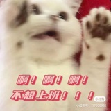 西西西西西瓜