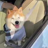 实习先生