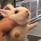 一天天
