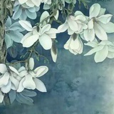 云水