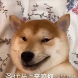 欢喜哥哥哥哥哥