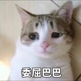 群青
