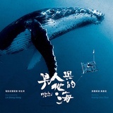海洋