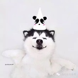 Gloria