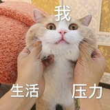 猛汉