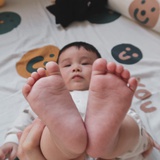 狗Chu