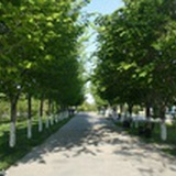 与游