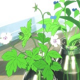 在水一方