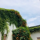 乌云过后有晴空