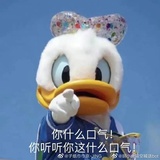 托鲁