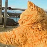 北齐氓公