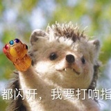 zz少女王点心