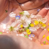 叶子的爱拉💗