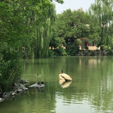 冰在水里