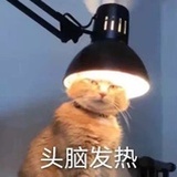 公司是个大池塘