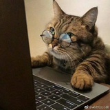 匈奴与龙猫