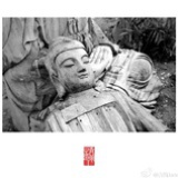 卷心菜