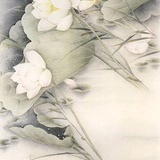 阿霜啦