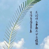 小迈