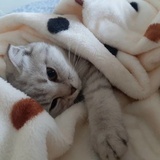 张铎宾