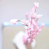 小黄人和派大星