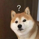 浪漫限期