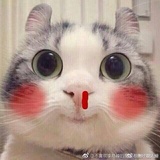 冻西瓜的冰