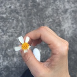 锦言