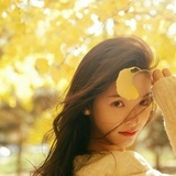  Yoyo