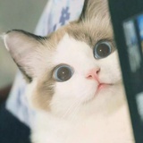 芊妤