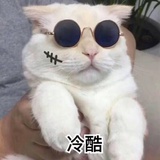 让我冷酷到底