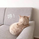 火星今天33度