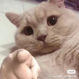 、卡佩家族