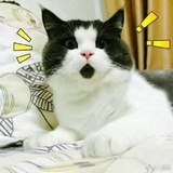 熙