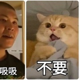 啦啦乖咯