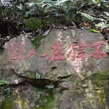 斡旋高手