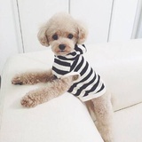 小文文·小文文