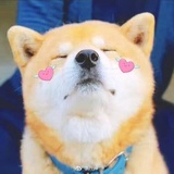 ouwuwu