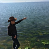 开拖拉机去旅行