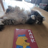 刘昱思