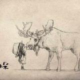 楠枷之风