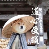 大势已去